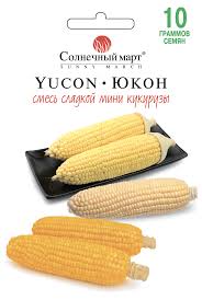 Кукуруза Юкон